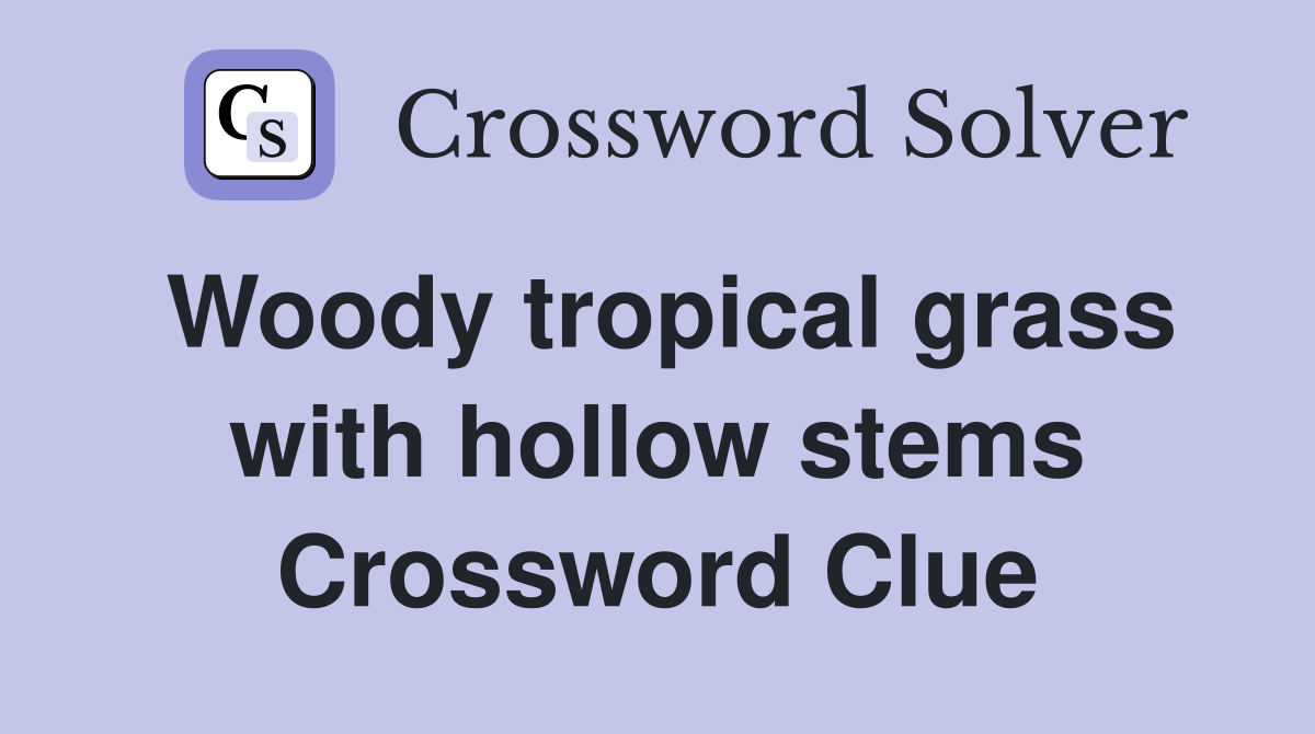 Woody tropical grass with hollow stems Crossword Clue