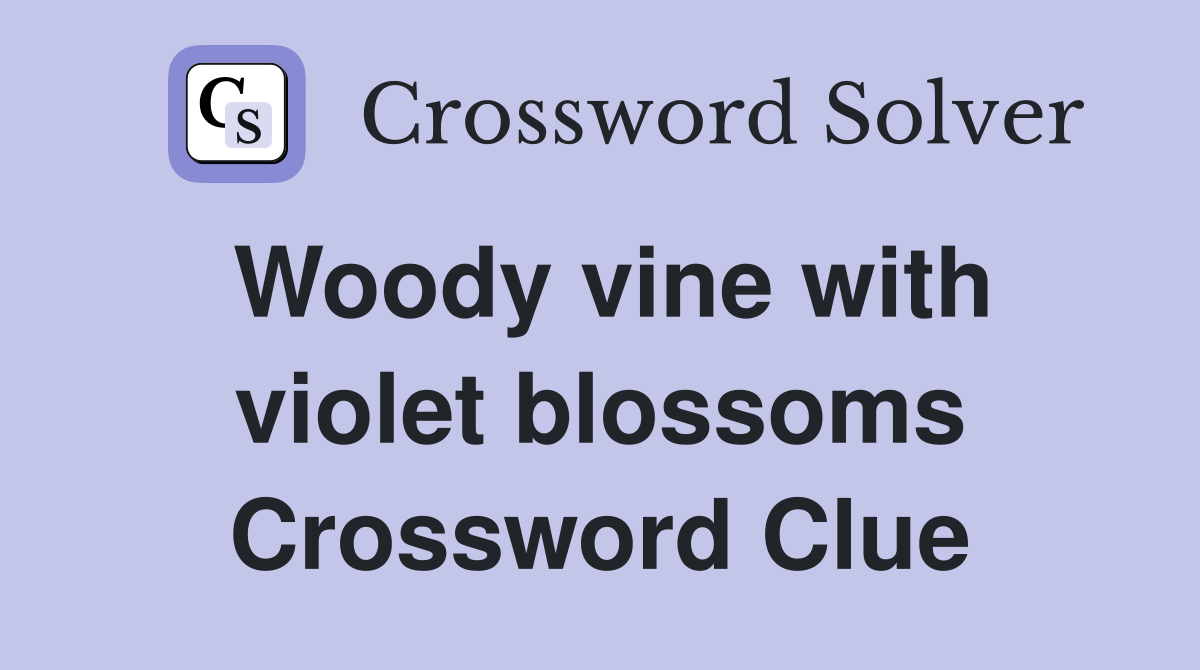 Woody vine with violet blossoms Crossword Clue