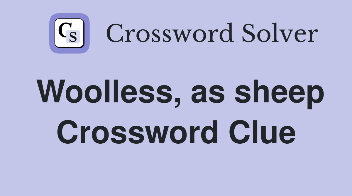 Woolless, as sheep Crossword Clue