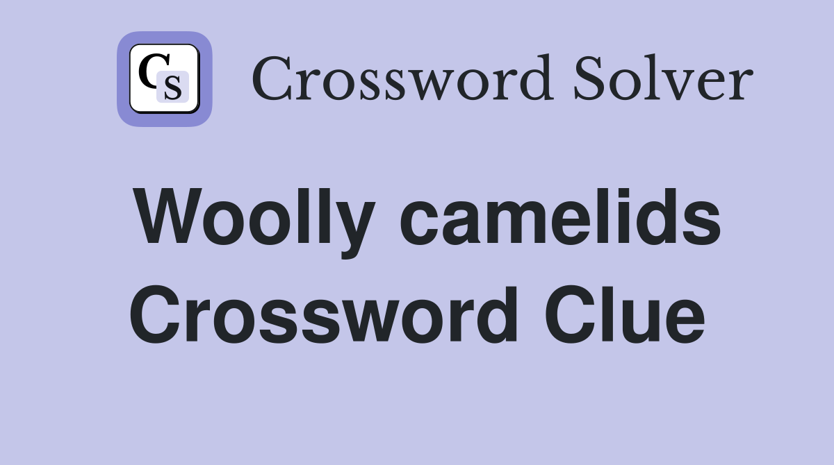 Woolly camelids Crossword Clue