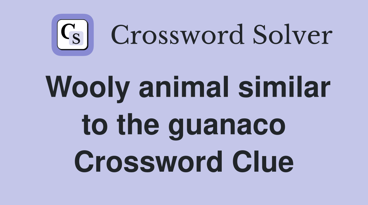 Wooly animal similar to the guanaco Crossword Clue