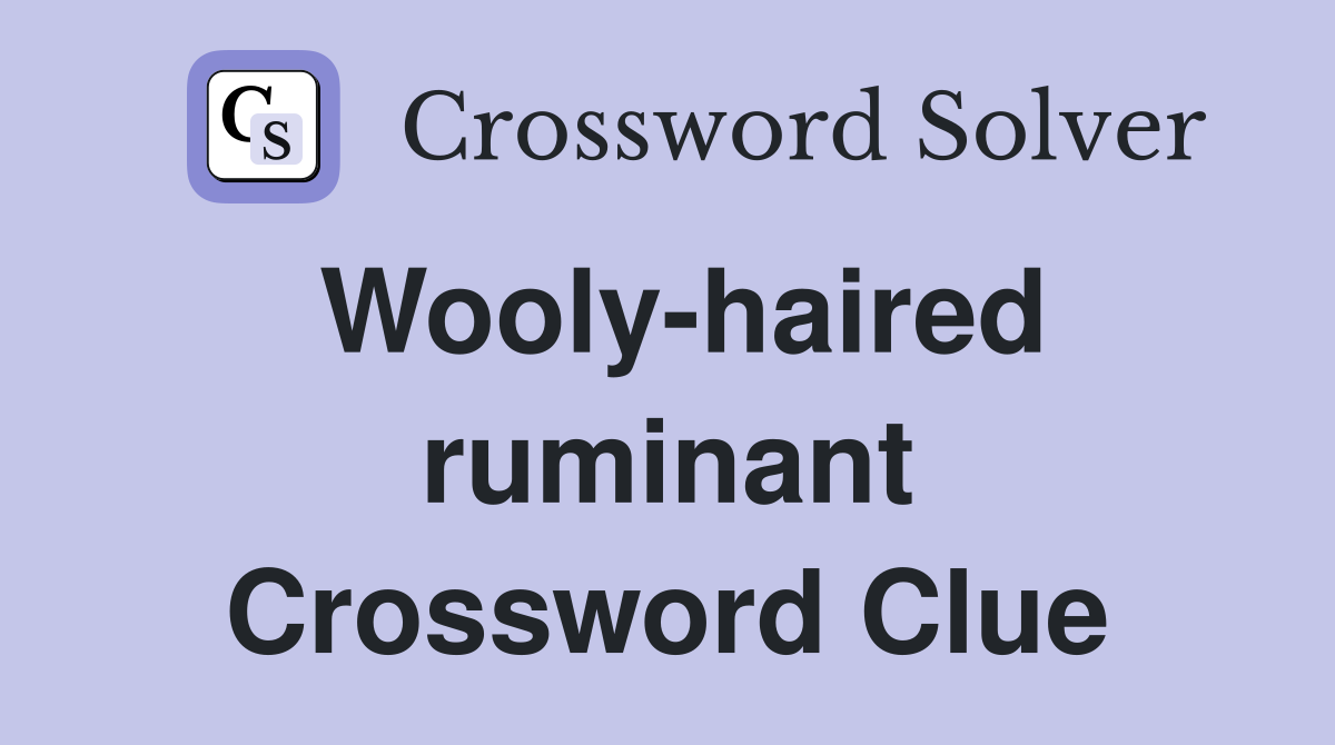 Wooly-haired ruminant Crossword Clue