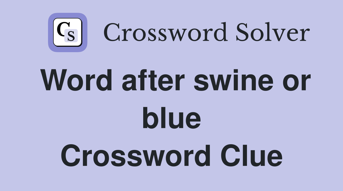 Word after swine or blue Crossword Clue