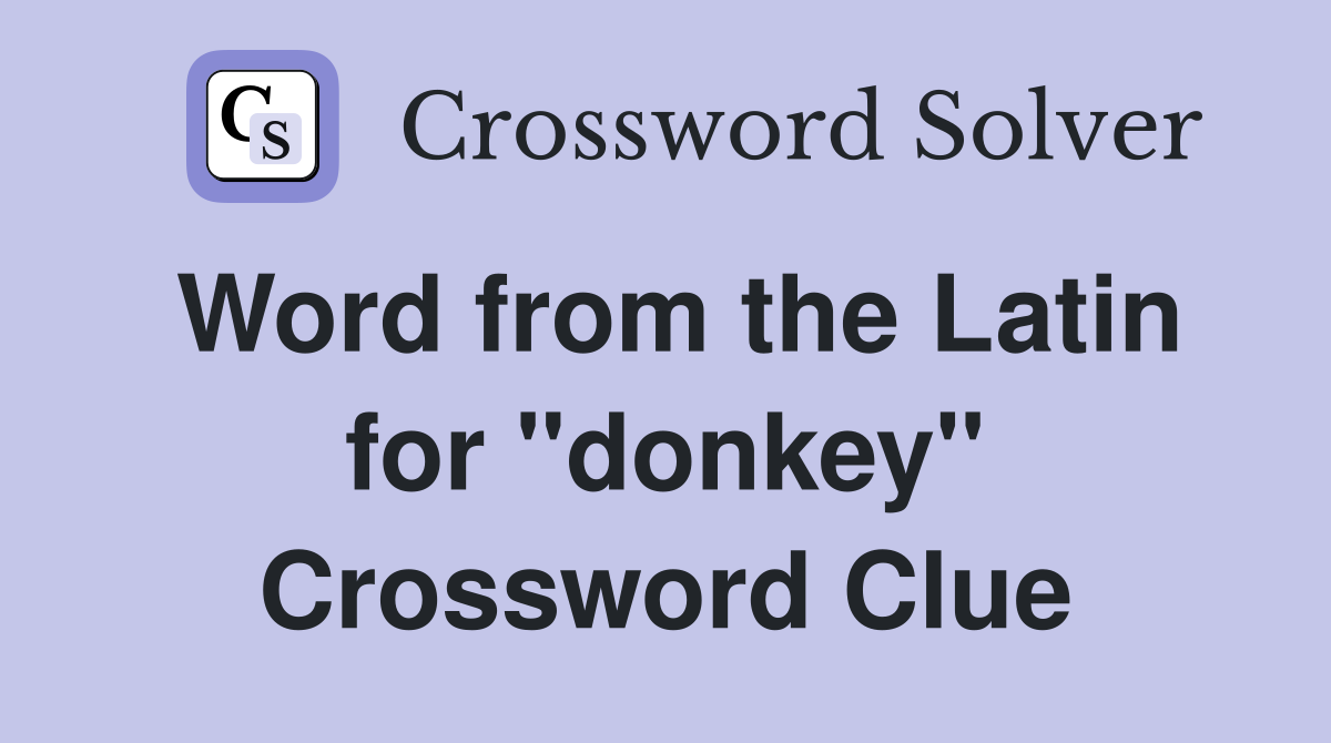 Word from the Latin for "donkey" Crossword Clue