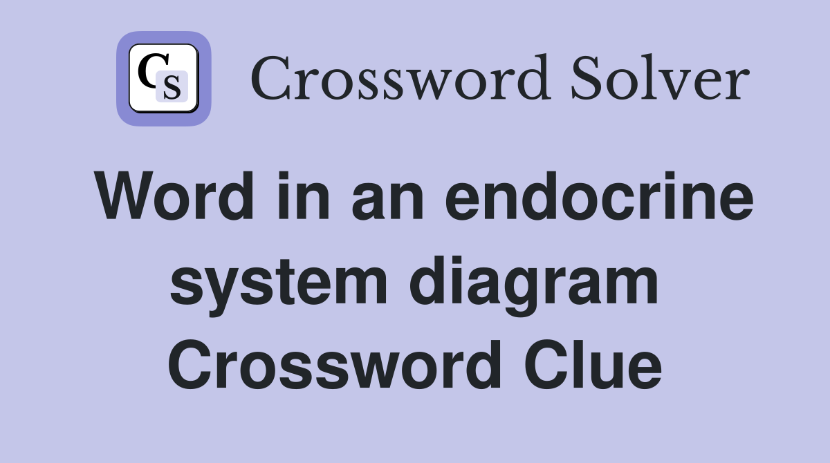 Word in an endocrine system diagram Crossword Clue