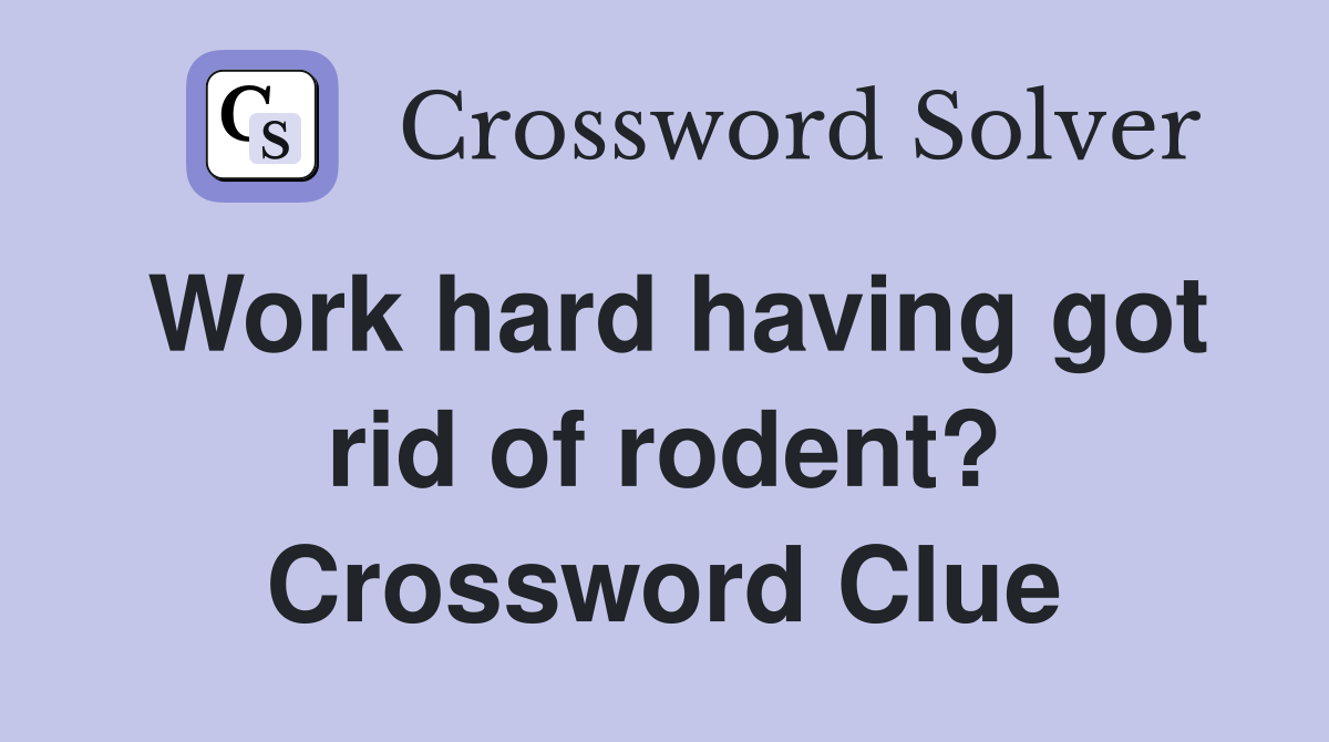 Work hard having got rid of rodent? Crossword Clue