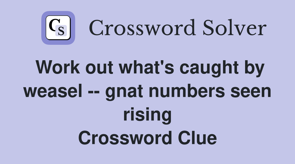 Work out what's caught by weasel -- gnat numbers seen rising Crossword Clue