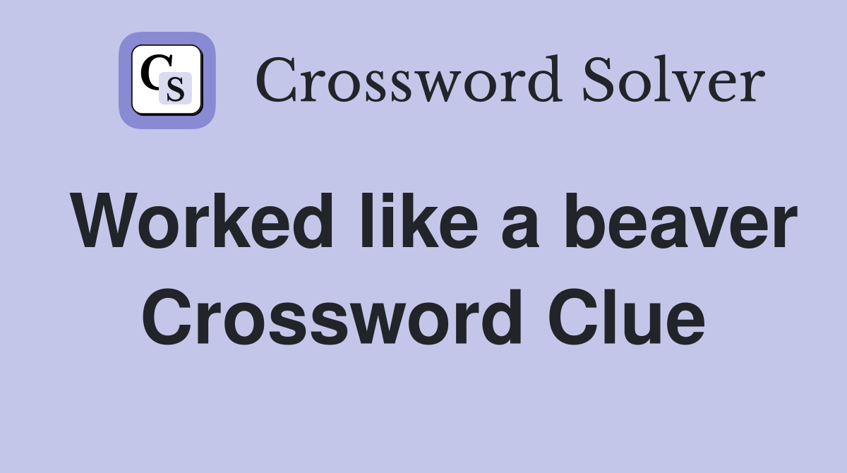 Worked like a beaver Crossword Clue