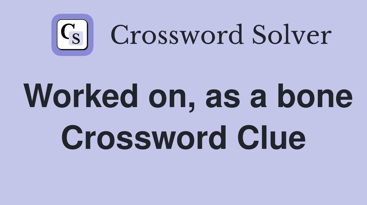 Worked on, as a bone Crossword Clue