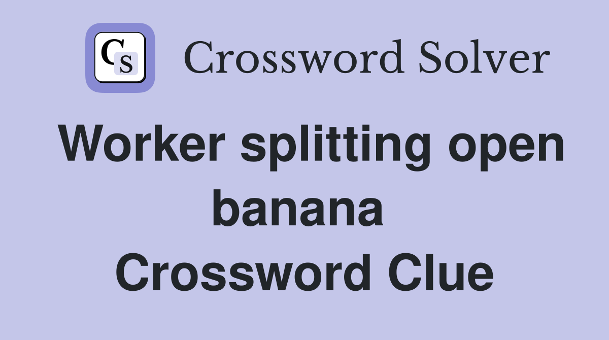 Worker splitting open banana  Crossword Clue