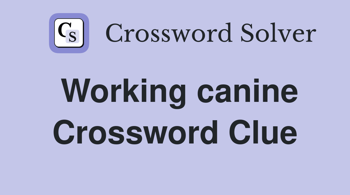 Working canine Crossword Clue