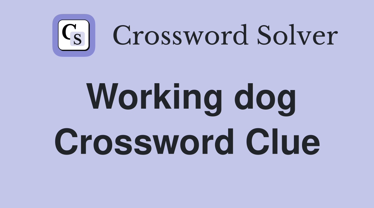 Working dog Crossword Clue
