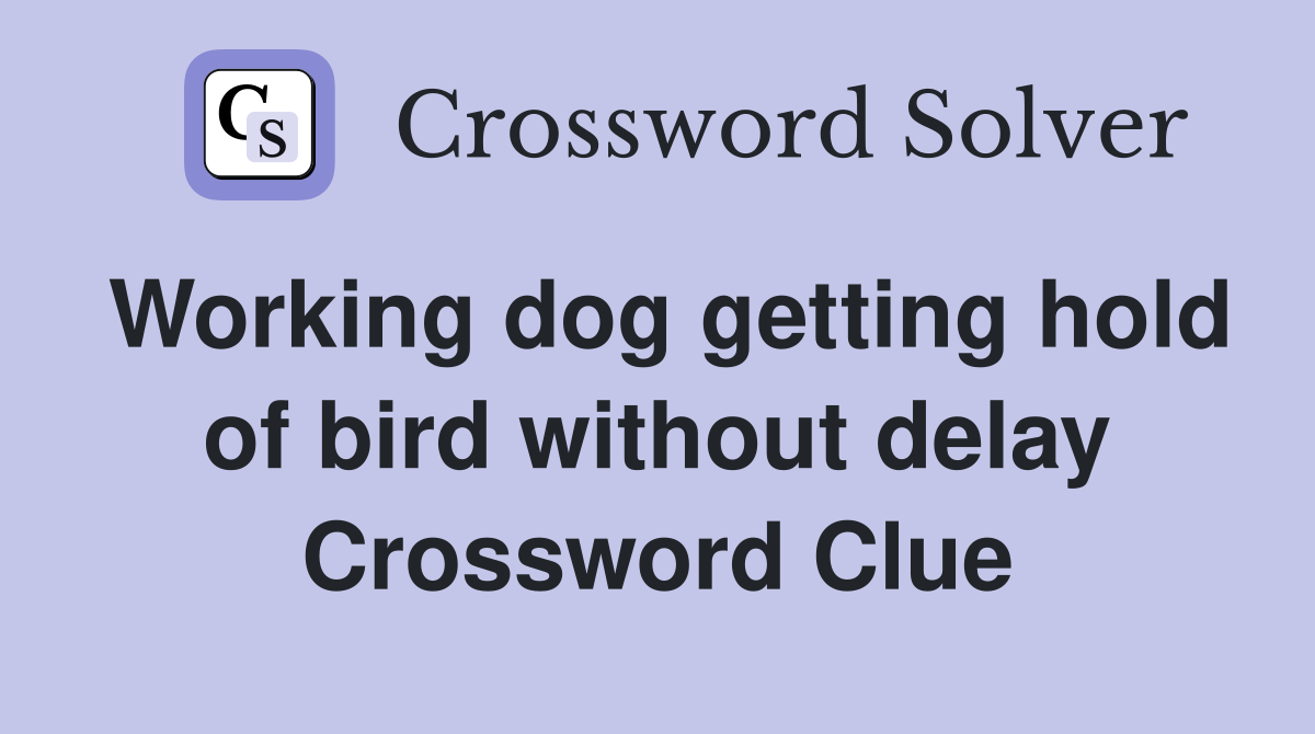 Working dog getting hold of bird without delay Crossword Clue