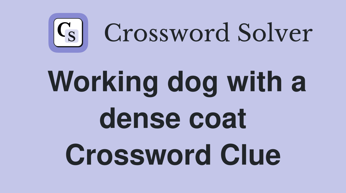 Working dog with a dense coat Crossword Clue