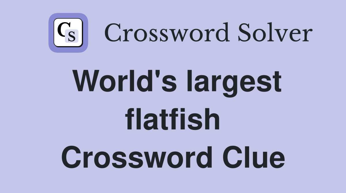 World's largest flatfish Crossword Clue