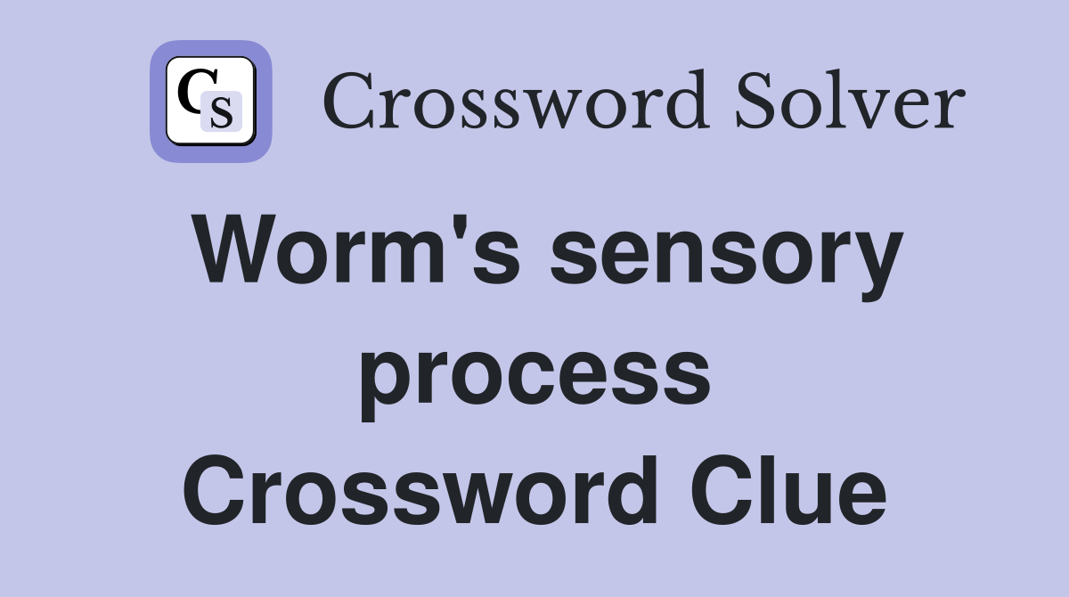Worm's sensory process Crossword Clue