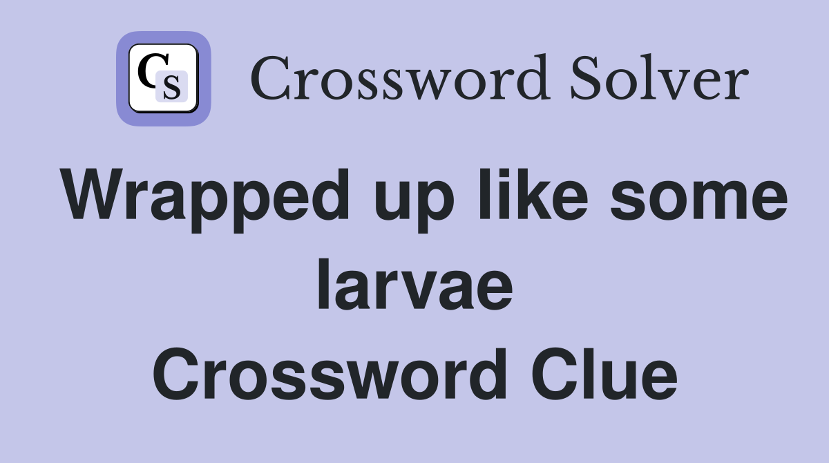 Wrapped up like some larvae Crossword Clue