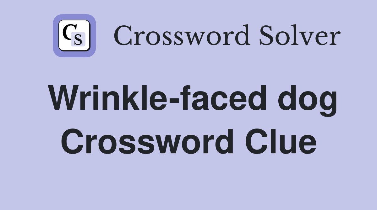 Wrinkle-faced dog Crossword Clue