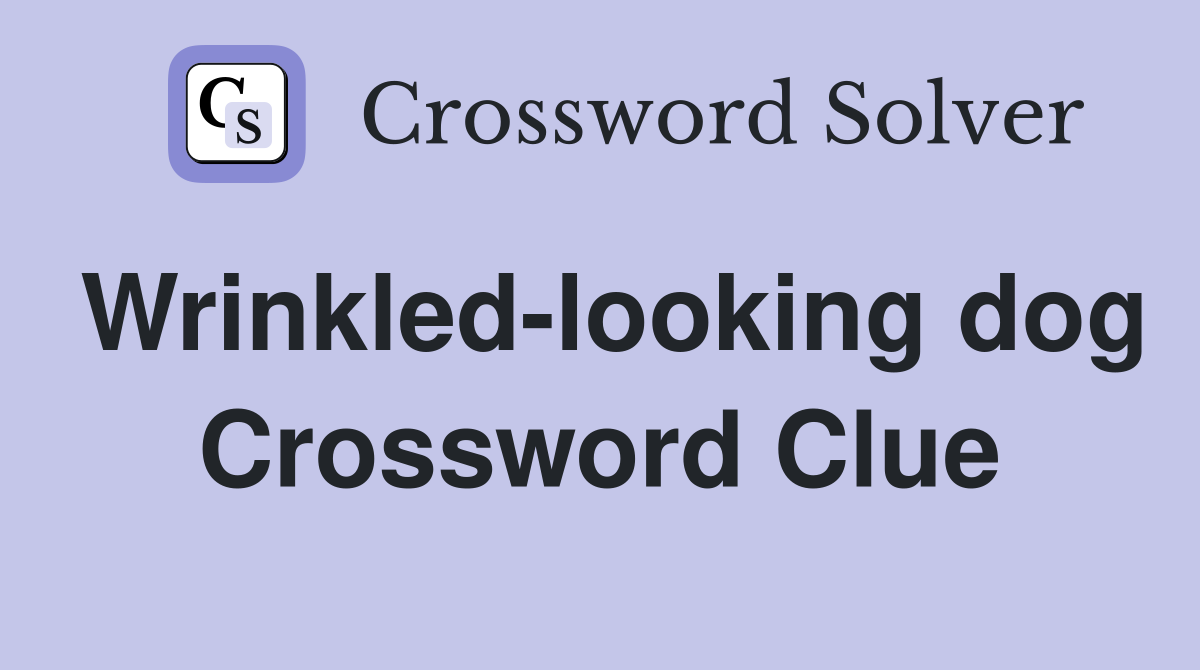 Wrinkled-looking dog Crossword Clue