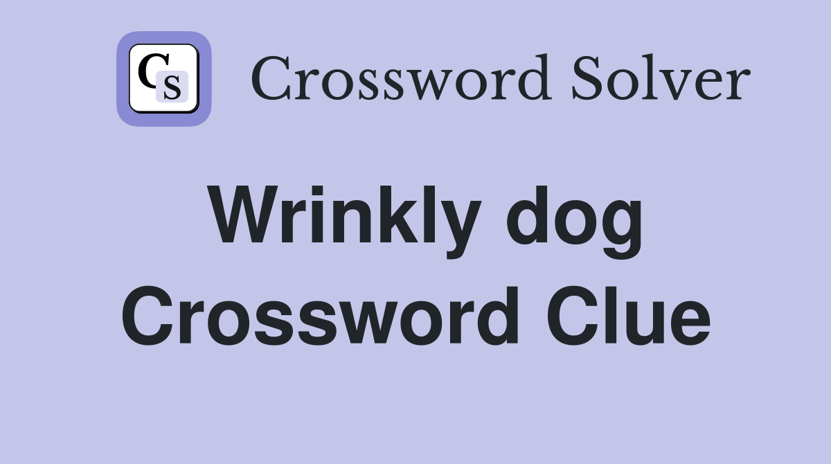 Wrinkly dog Crossword Clue