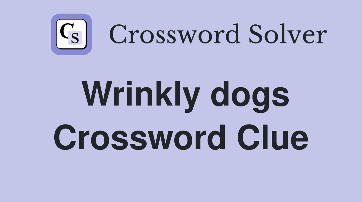 Wrinkly dogs Crossword Clue