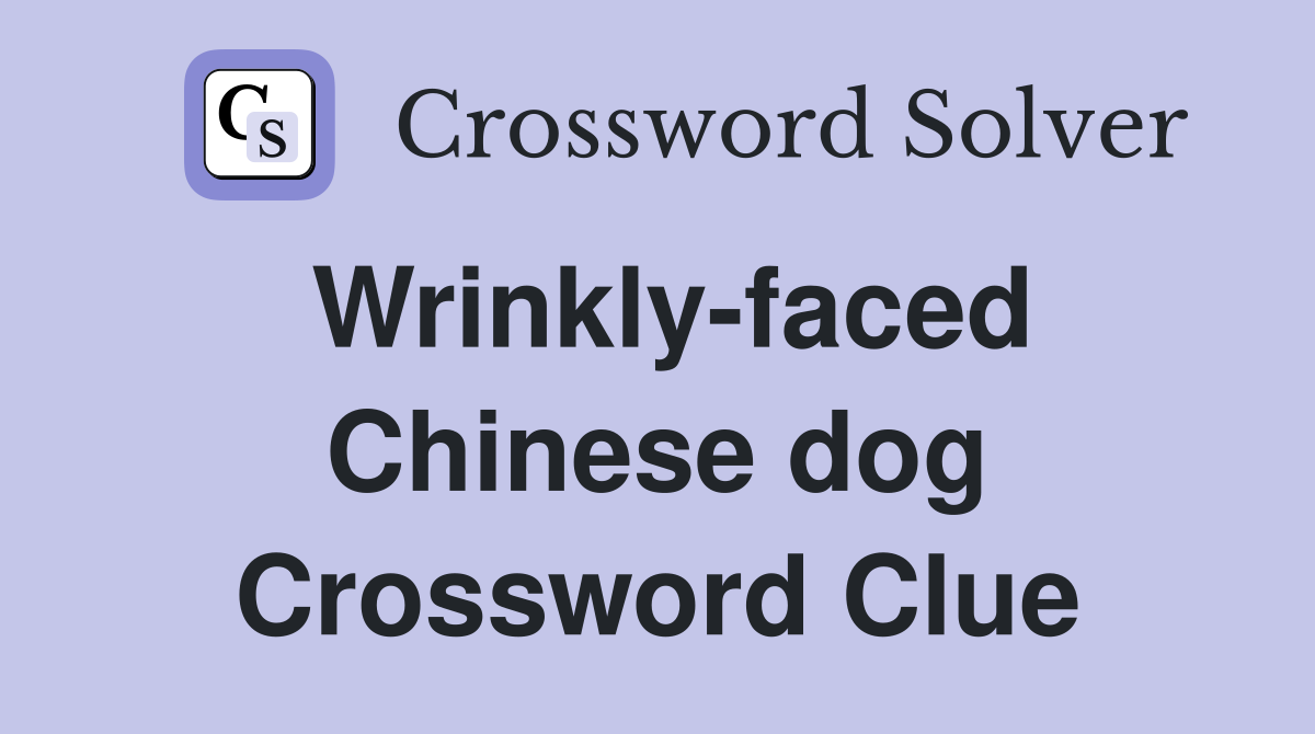 Wrinkly-faced Chinese dog Crossword Clue