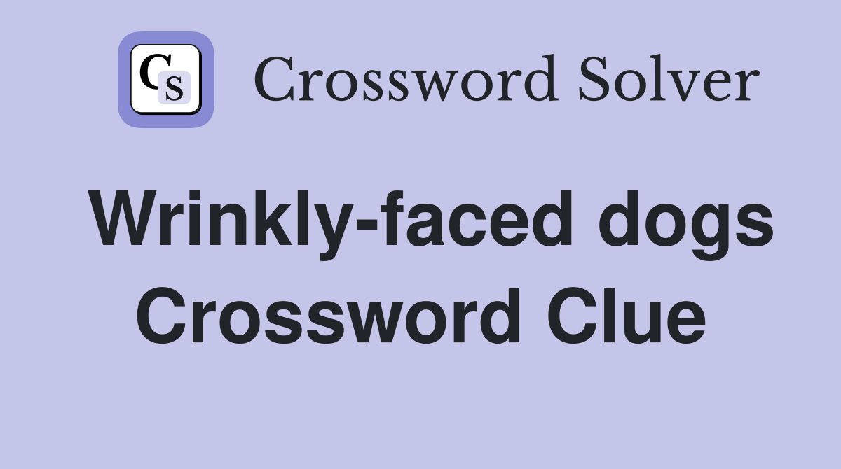 Wrinkly-faced dogs Crossword Clue