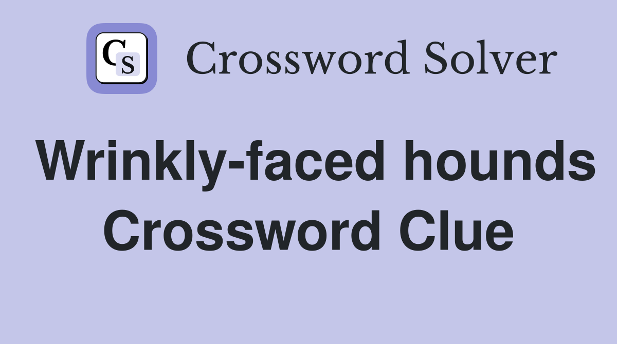 Wrinkly-faced hounds Crossword Clue