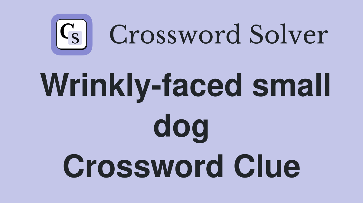Wrinkly-faced small dog Crossword Clue
