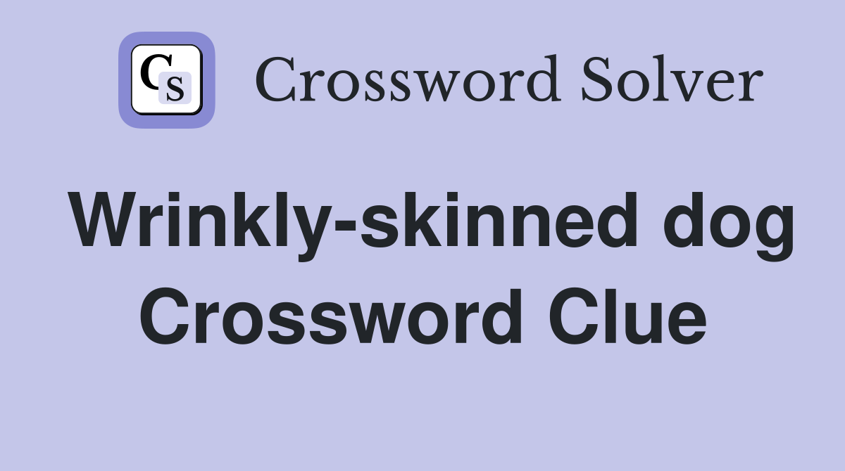 Wrinkly-skinned dog Crossword Clue