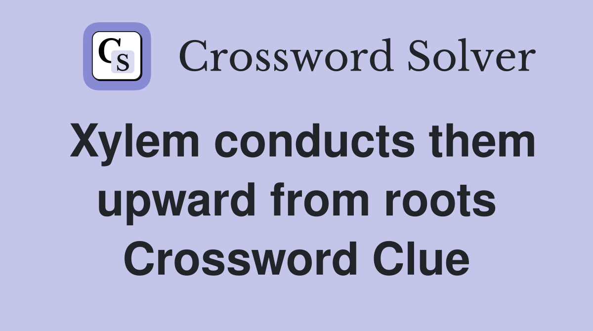 Xylem conducts them upward from roots Crossword Clue