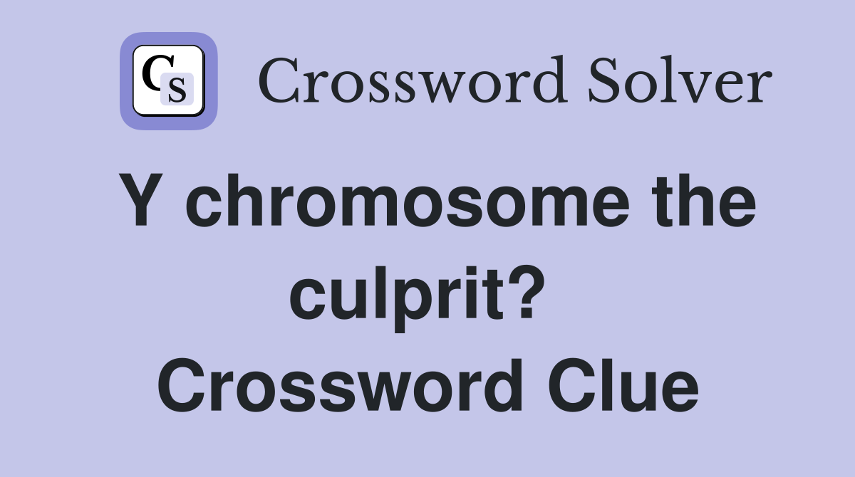 Y chromosome the culprit?  Crossword Clue