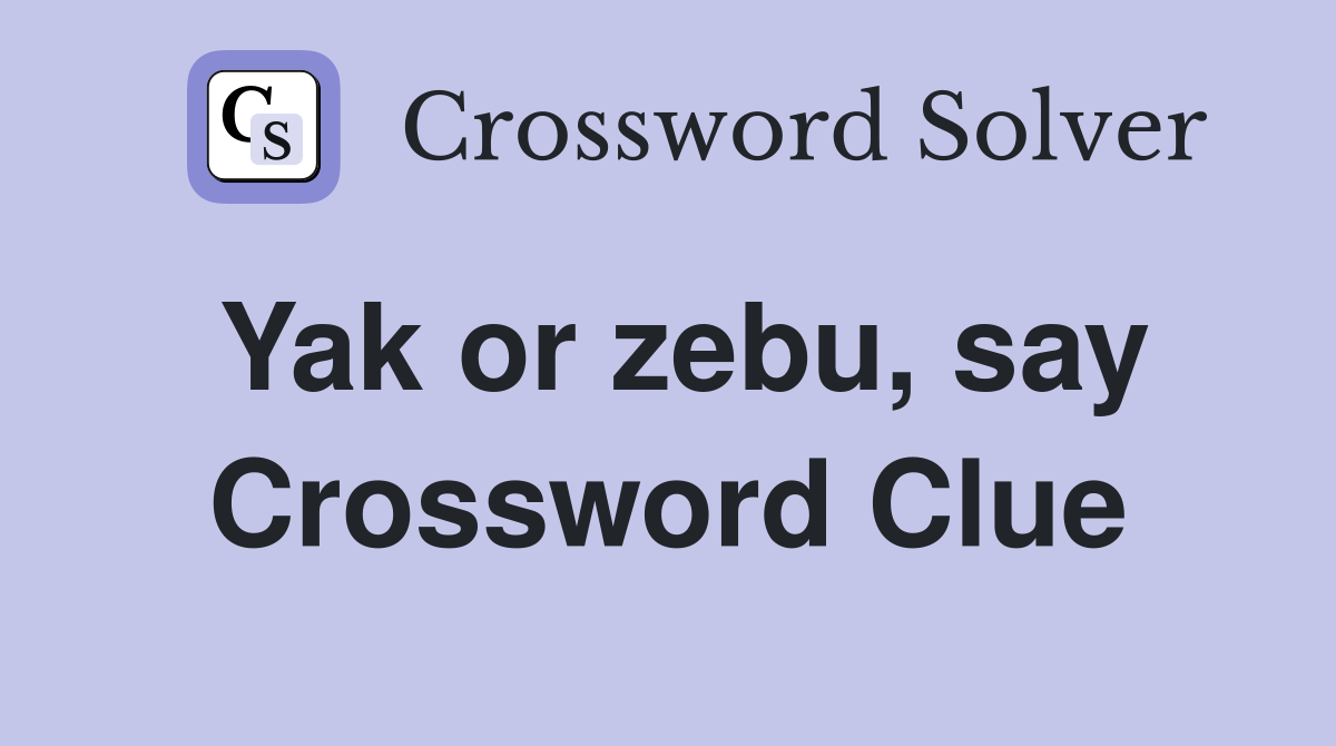 Yak or zebu, say Crossword Clue