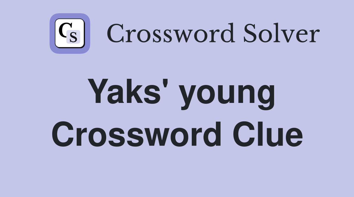Yaks' young Crossword Clue