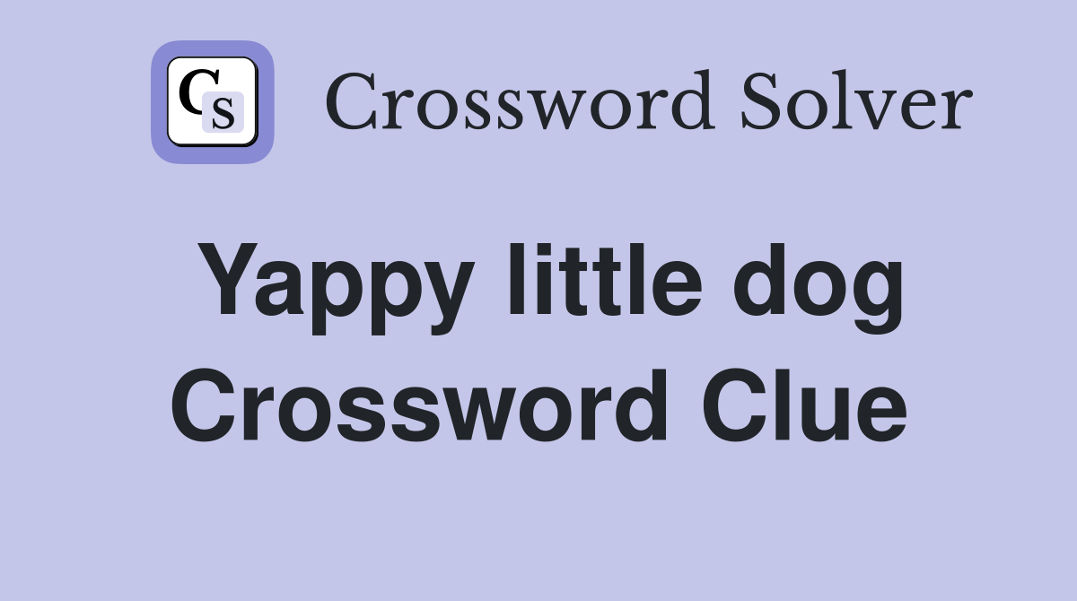 Yappy little dog Crossword Clue