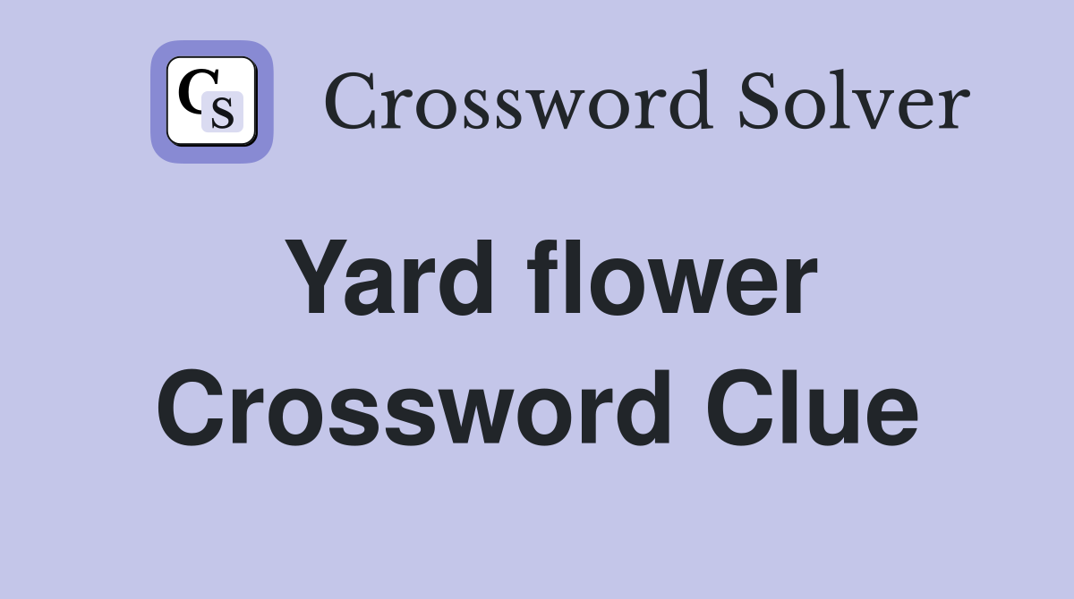 Yard flower Crossword Clue