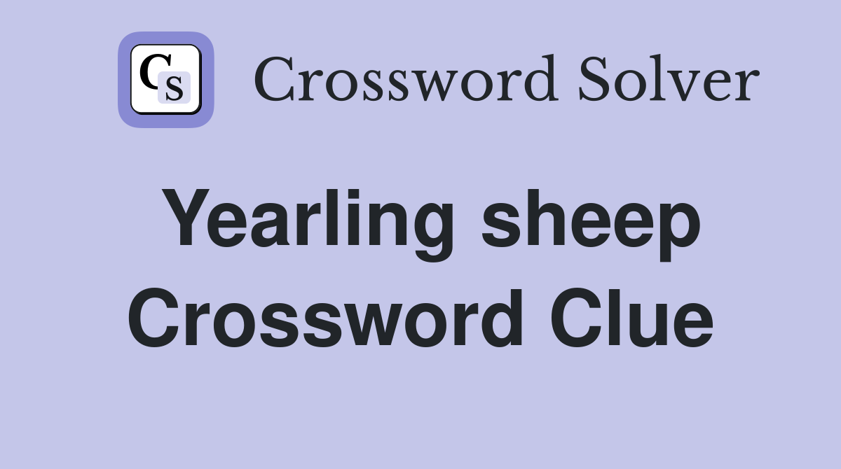 Yearling sheep Crossword Clue