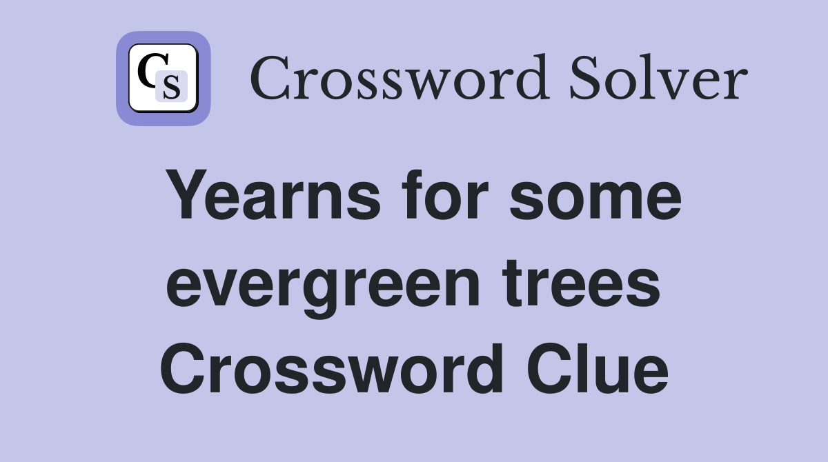Yearns for some evergreen trees Crossword Clue
