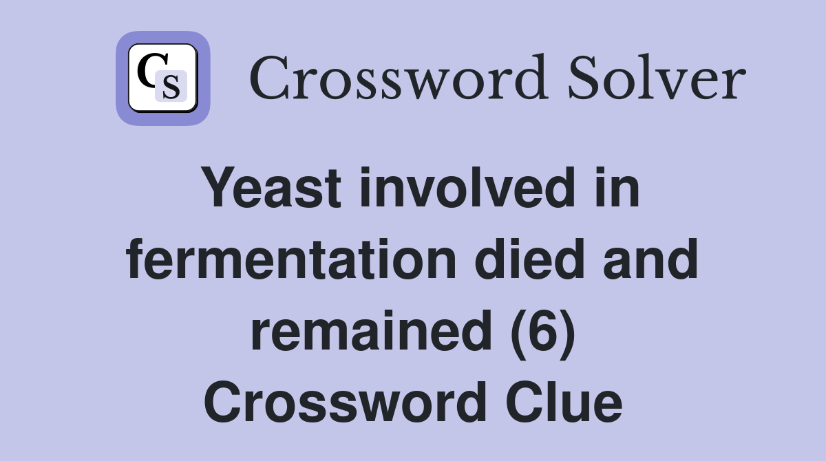 Yeast involved in fermentation died and remained (6) Crossword Clue