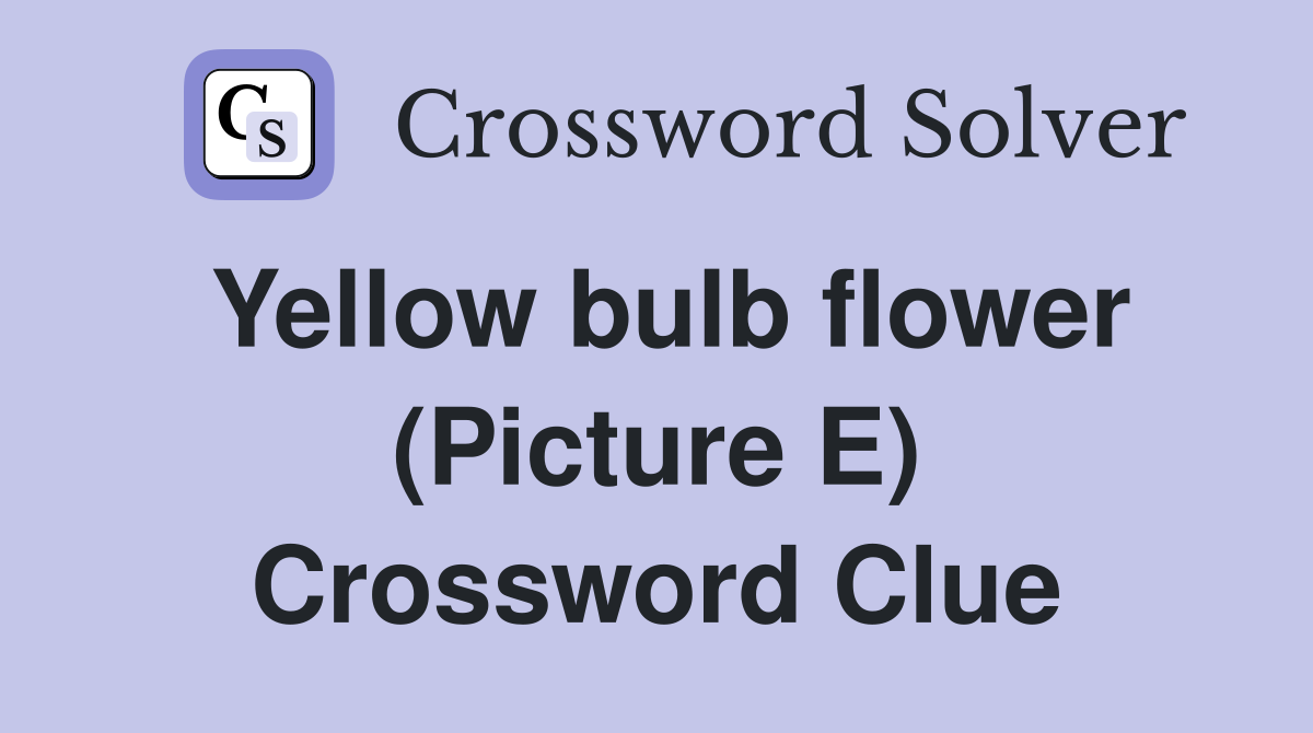 Yellow bulb flower (Picture E) Crossword Clue