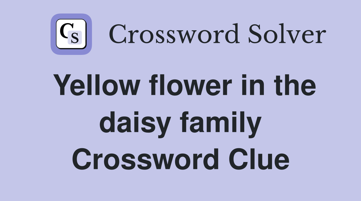 Yellow flower in the daisy family Crossword Clue