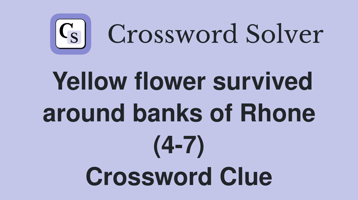 Yellow flower survived around banks of Rhone (4-7) Crossword Clue