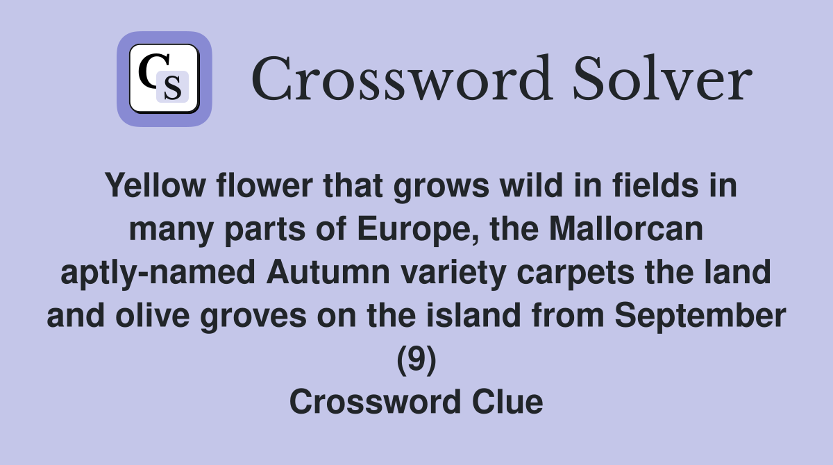 Yellow flower that grows wild in fields in many parts of Europe, the Mallorcan aptly-named Autumn variety carpets the land and olive groves on the island from September (9) Crossword Clue