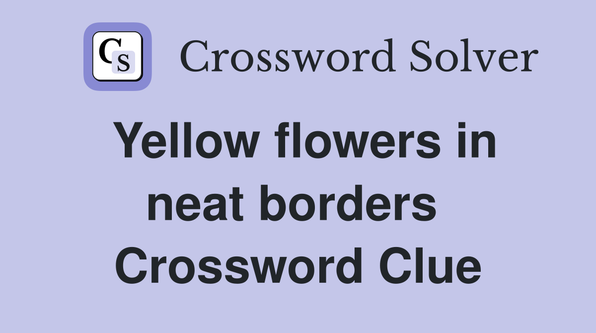 Yellow flowers in neat borders  Crossword Clue