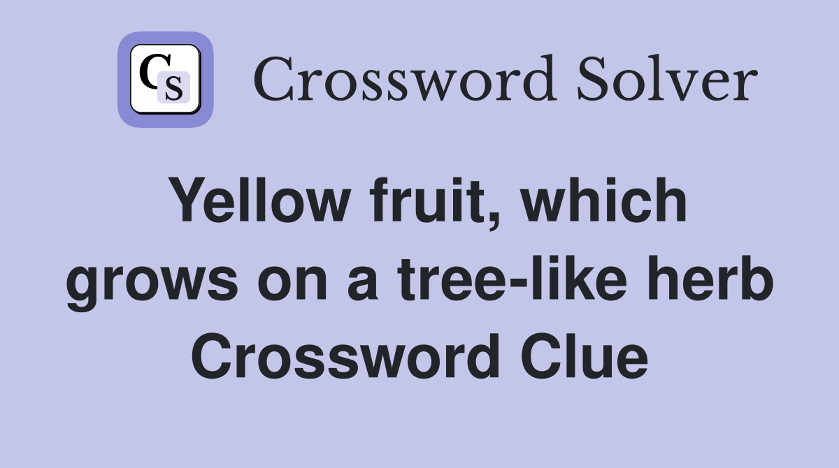 Yellow fruit, which grows on a tree-like herb Crossword Clue