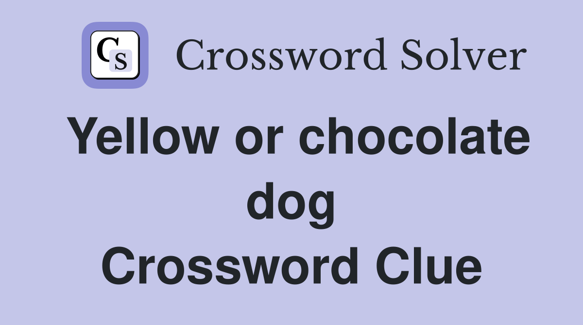 Yellow or chocolate dog Crossword Clue