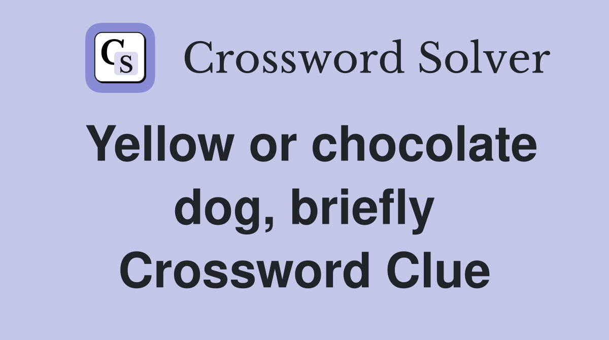 Yellow or chocolate dog, briefly Crossword Clue