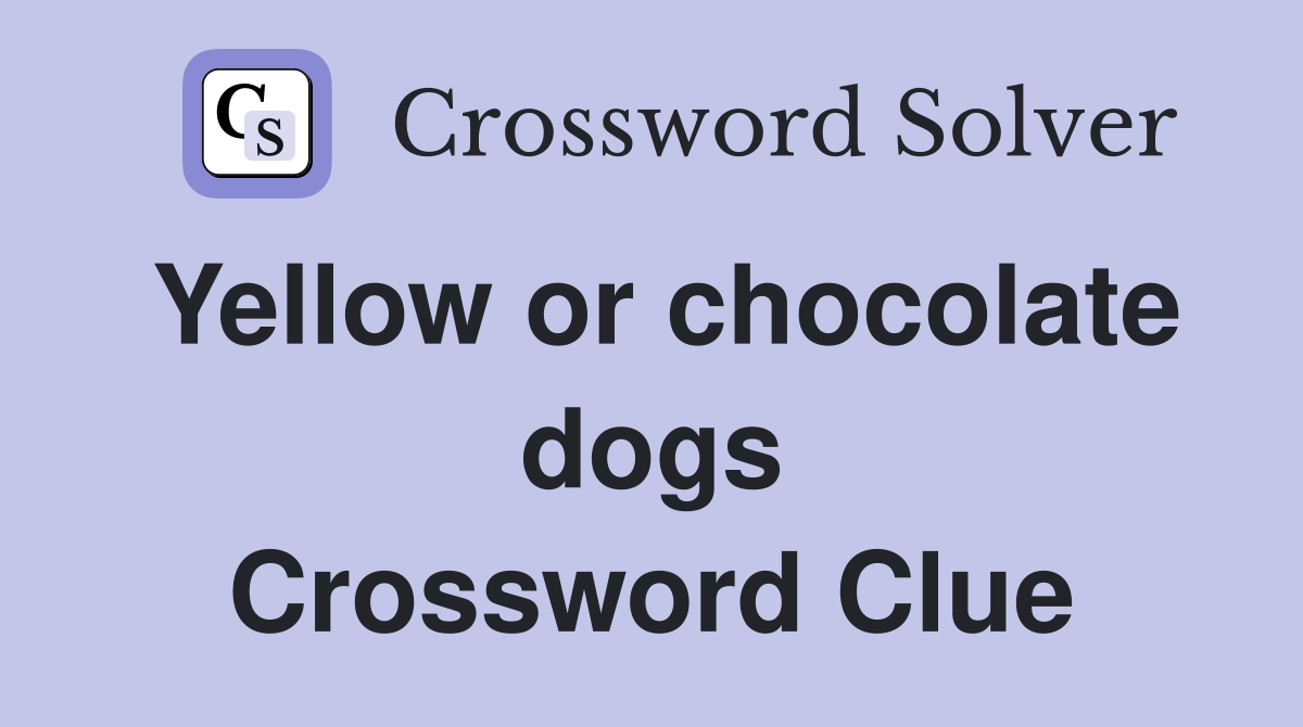 Yellow or chocolate dogs Crossword Clue