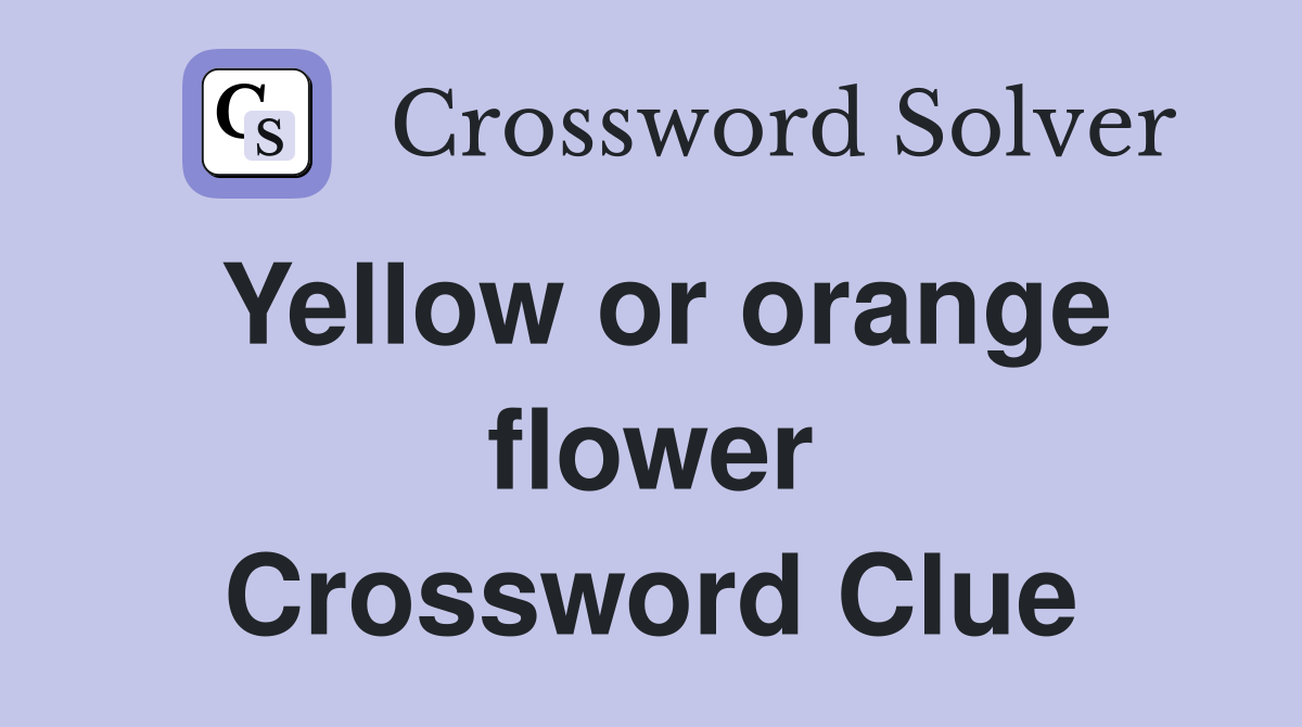 Yellow or orange flower Crossword Clue