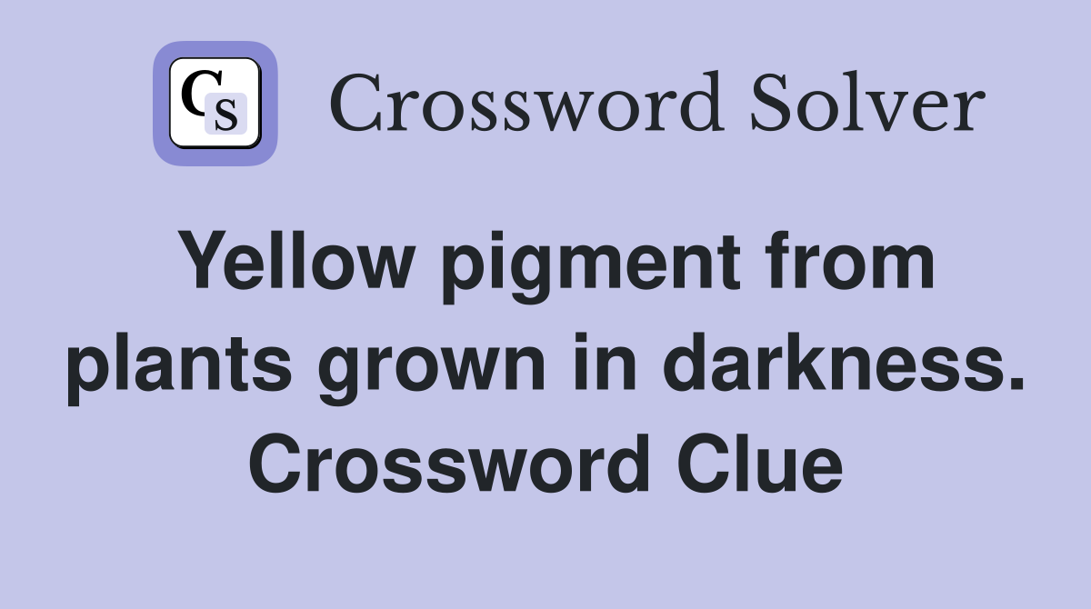 Yellow pigment from plants grown in darkness. Crossword Clue